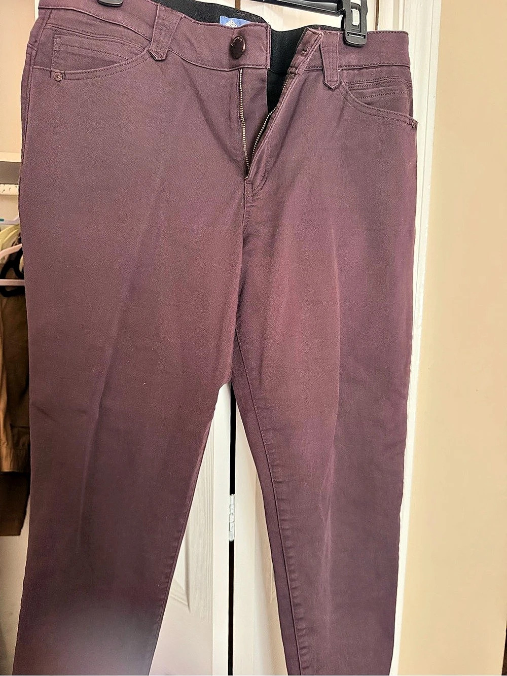 Democracy Skinny Jeans in Purple Waist 14